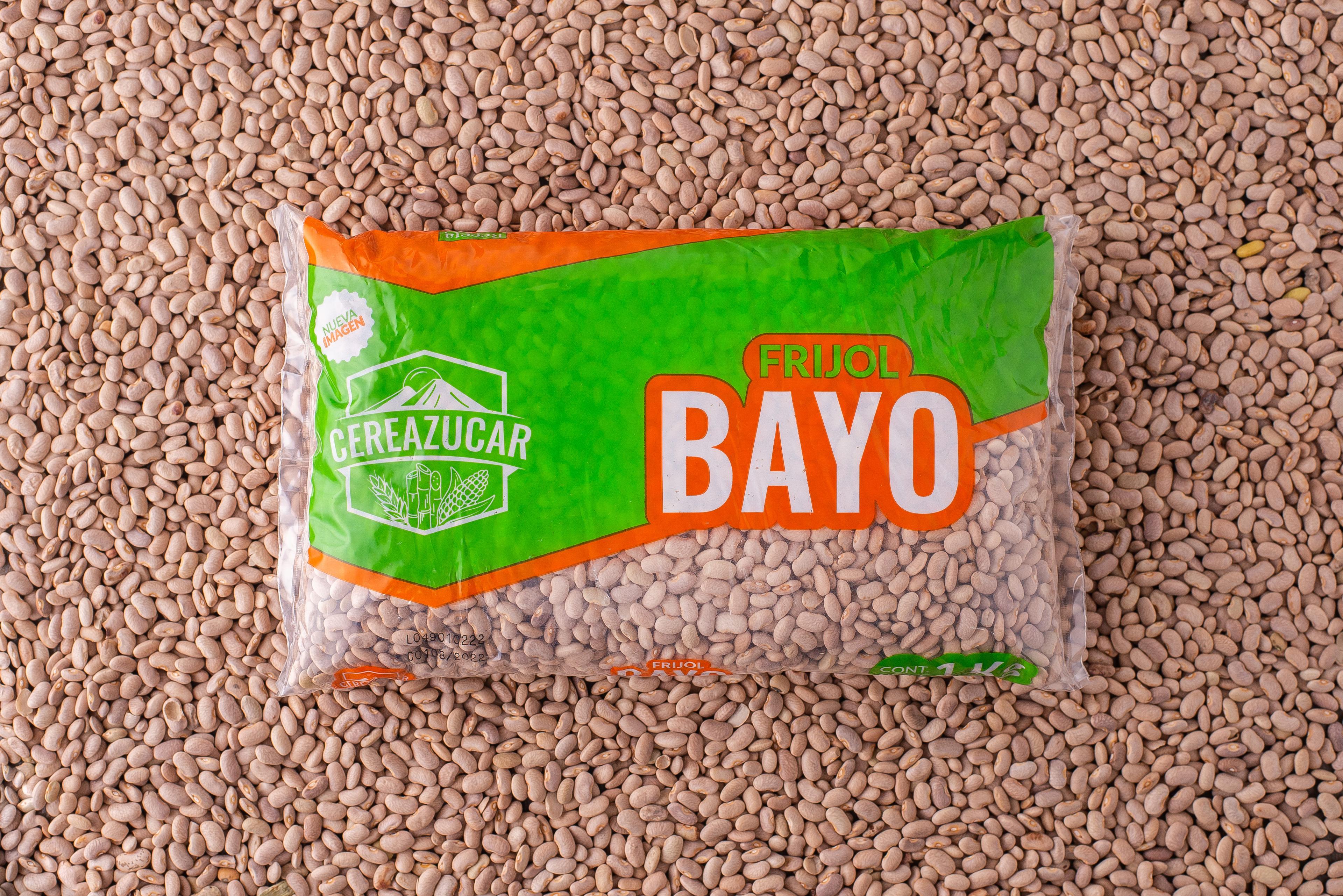 Frijol Bayo 2